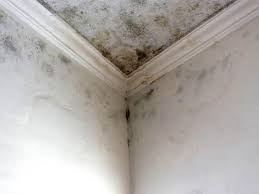 Reliable Oxford, KS Mold Prevention & Removal  Solutions